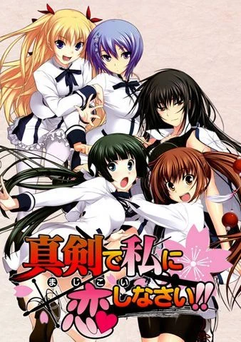 Эй, люби меня всерьёз! / Maji de Watashi ni Koi Shinasai!! (2011) [1-12 из 12]