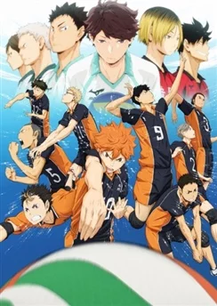 Волейбол!! / Haikyuu!! (2014) [1-25 из 25]